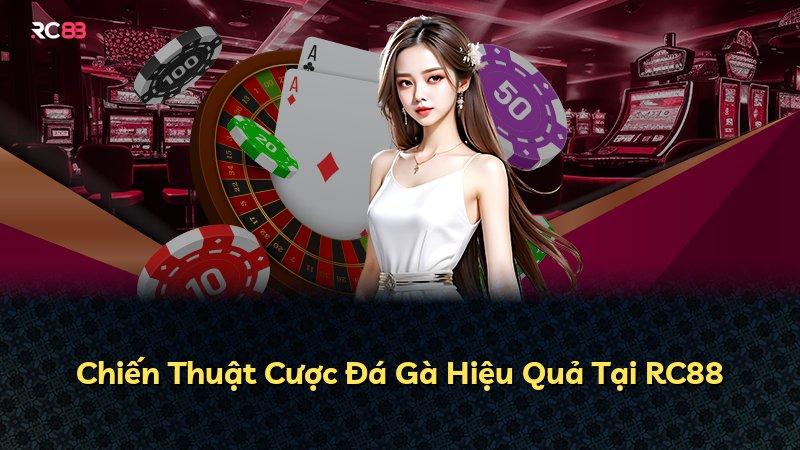 Chiến Thuật Cược Đá Gà Hiệu Quả Tại RC88