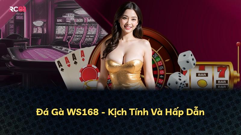 Đá Gà WS168 - Kịch Tính Và Hấp Dẫn