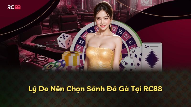 Lý Do Nên Chọn Sảnh Đá Gà Tại RC88