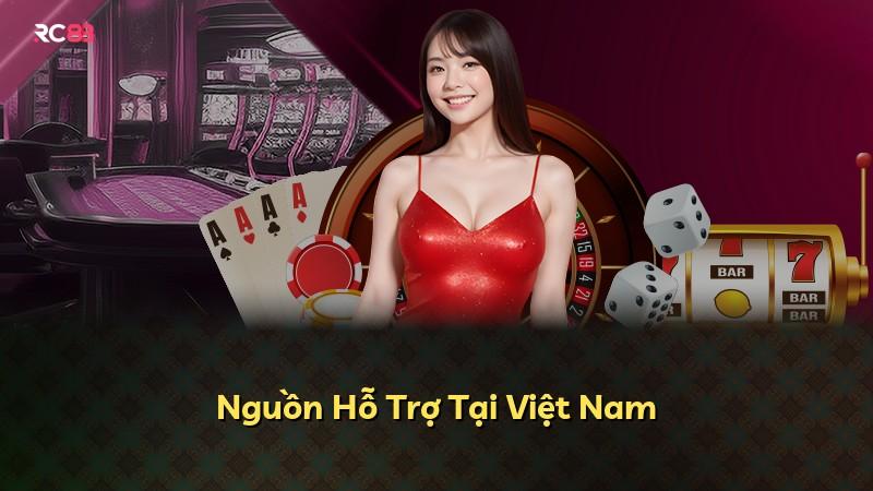 Nguồn Hỗ Trợ Tại Việt Nam