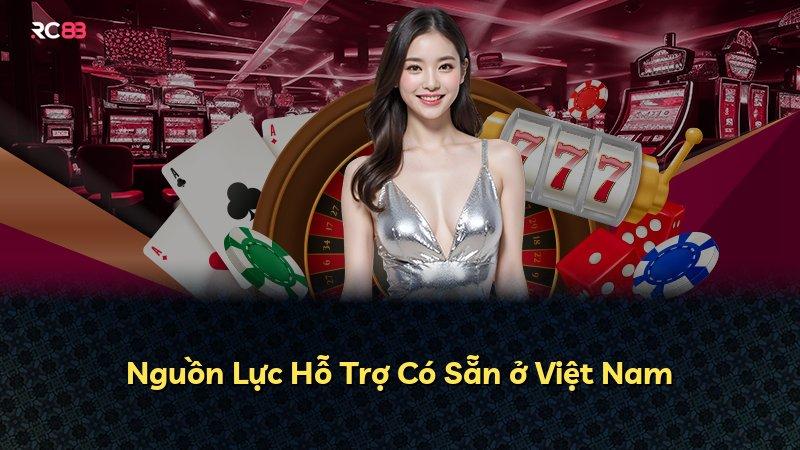 Nguồn Lực Hỗ Trợ Có Sẵn ở Việt Nam