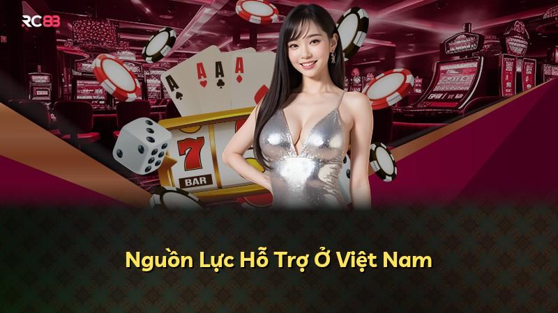Nguồn Lực Hỗ Trợ Ở Việt Nam