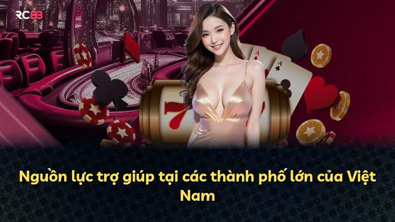 Nguồn lực trợ giúp tại các thành phố lớn của Việt Nam