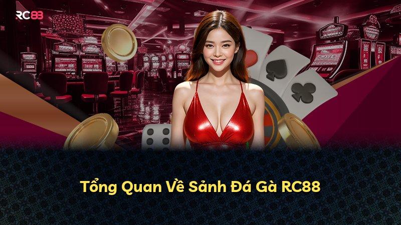 Tổng Quan Về Sảnh Đá Gà RC88